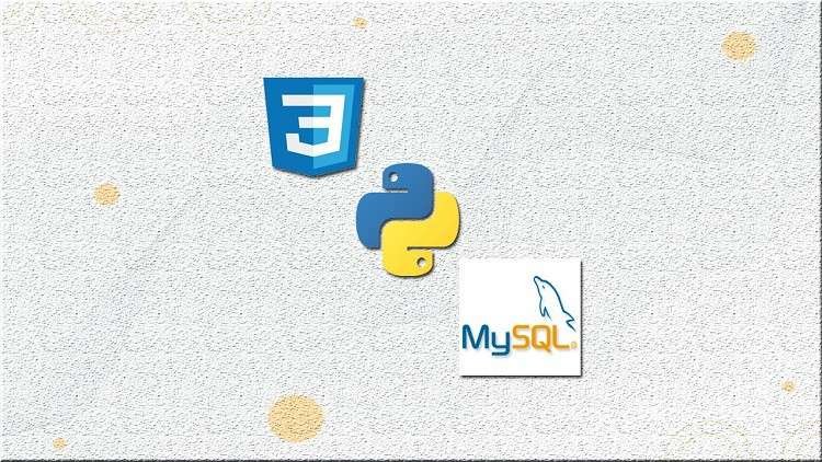 Complete CSS, Python and MySQL crash course from scratch