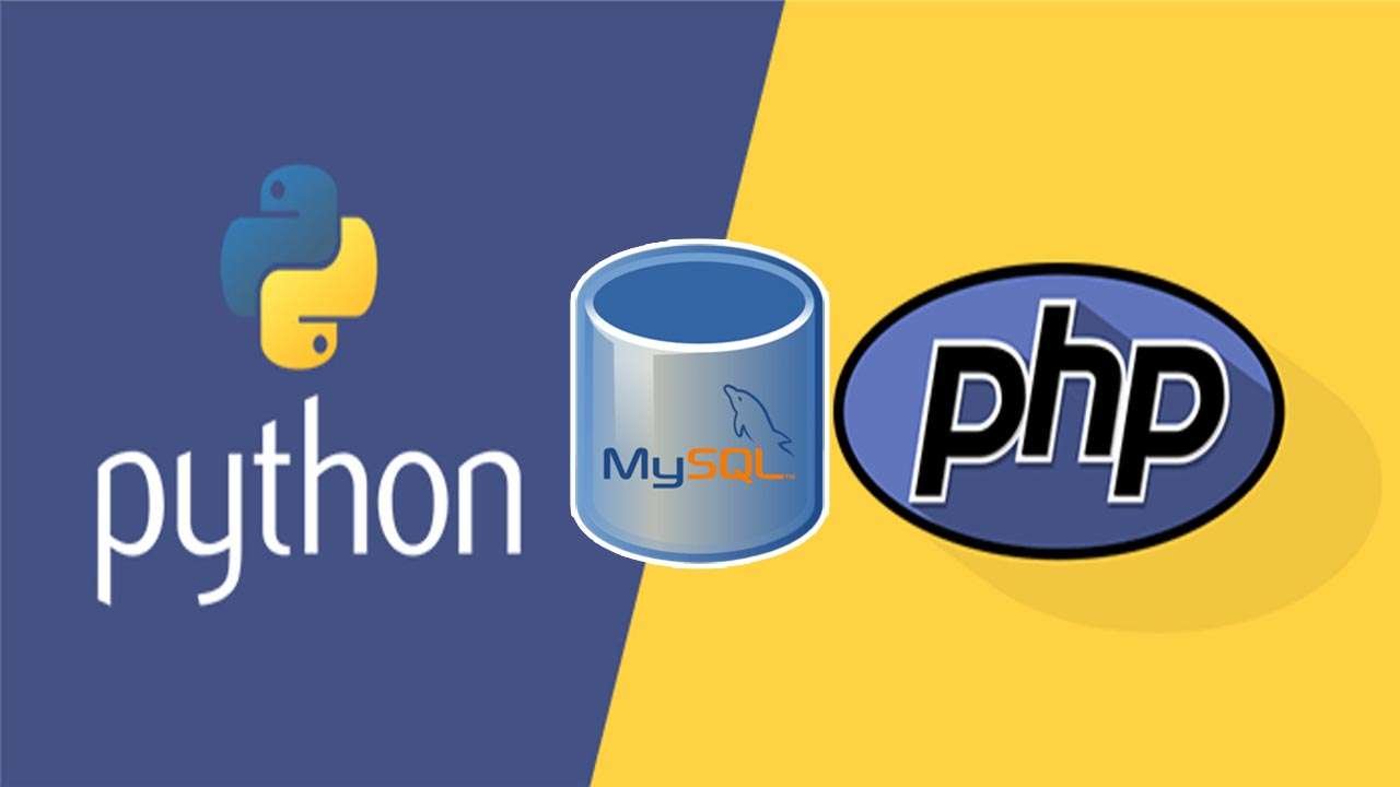 Python, JavaScript and MySQL for Web Developers: Bootcamp